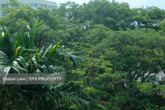 Changi Rise Condominium (D18), Condominium #214835911